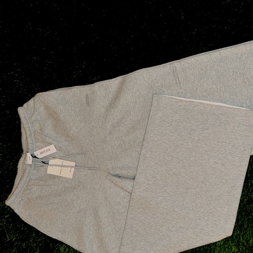 Aritiza Mega flutter sweatpants